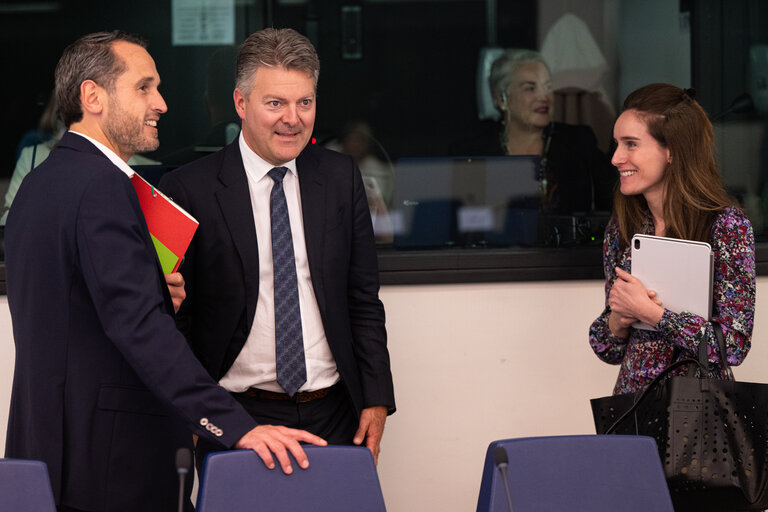 Delegation for Northern Cooperation and for Relations with Switzerland and Norway and to the EU-Iceland Joint Parliamentary Committee and the European Economic Area Joint Parliamentary Committee - Election of the Vice-Chairs
