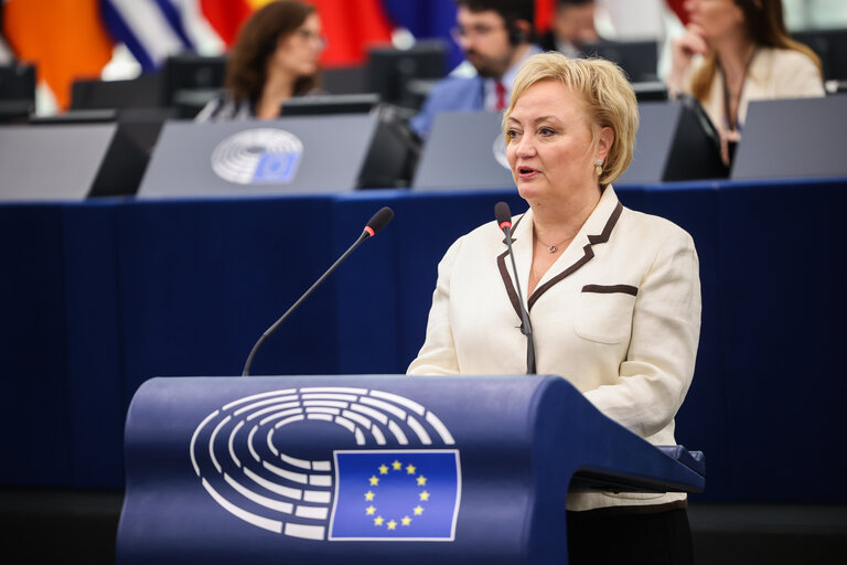 EP Plenary session - Post-2027 Common Agricultural Policy