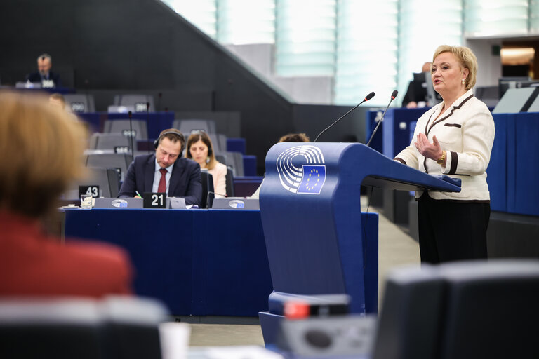 EP Plenary session - Post-2027 Common Agricultural Policy
