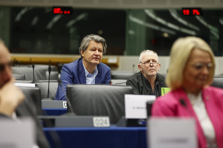 D-UA Constitutive Meeting