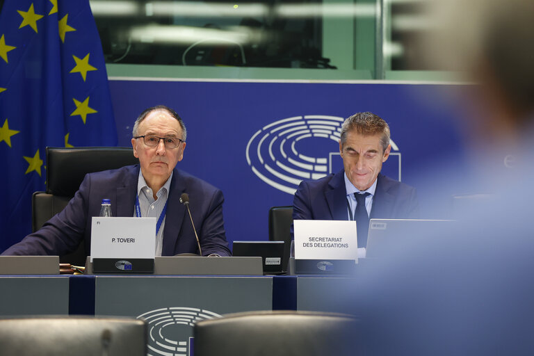 D-UA Constitutive Meeting