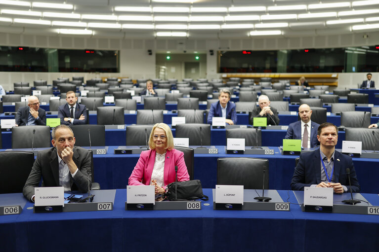 D-UA Constitutive Meeting