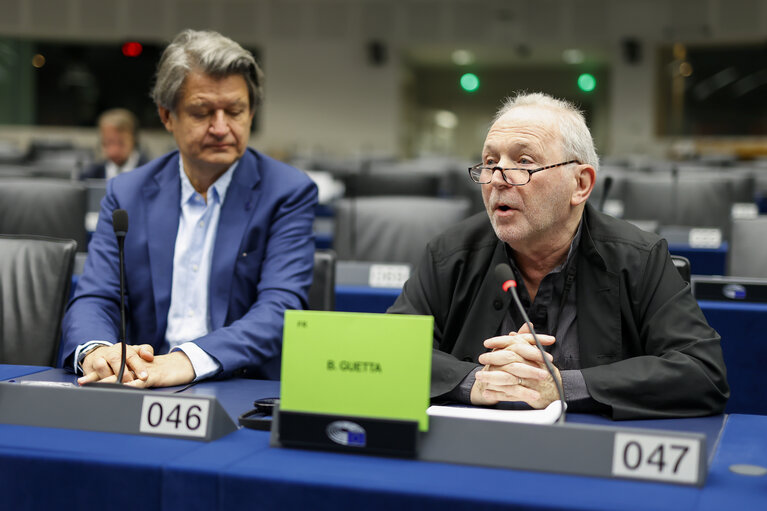 D-UA Constitutive Meeting