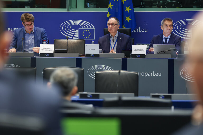 D-UA Constitutive Meeting