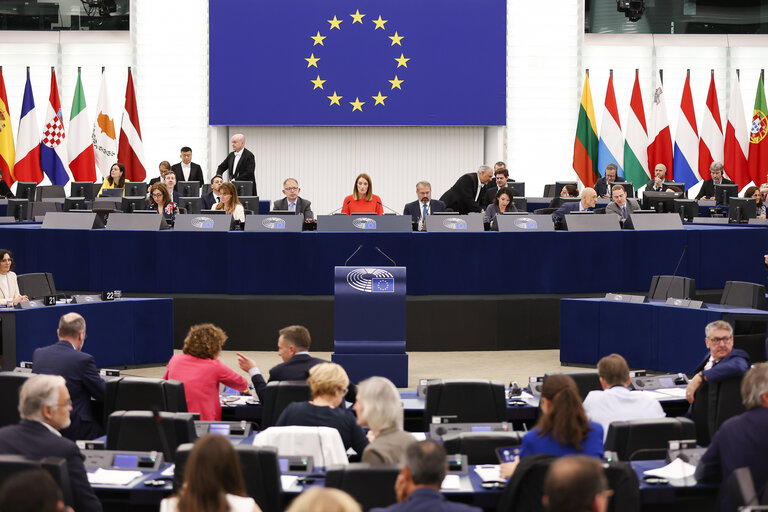 EP Plenary session - Voting session