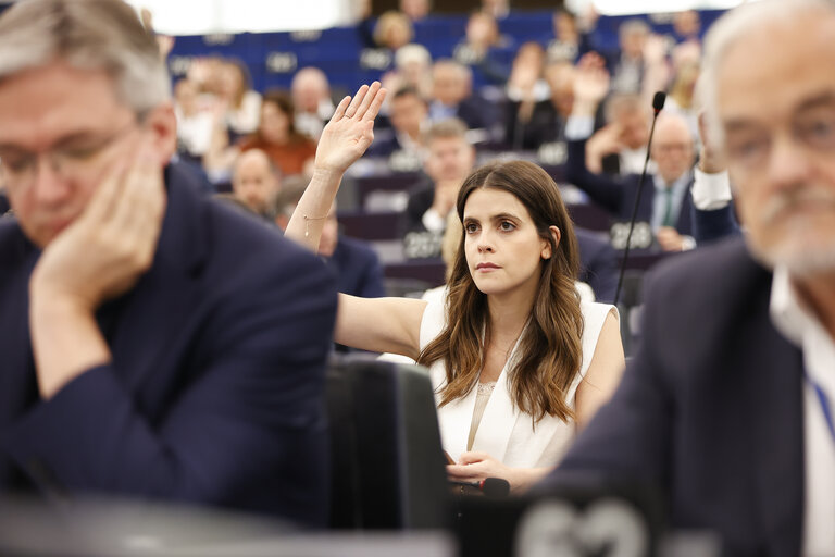 EP Plenary session - Voting session