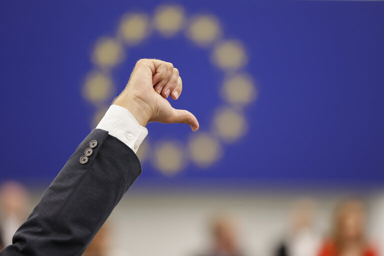 EP Plenary session - Voting session