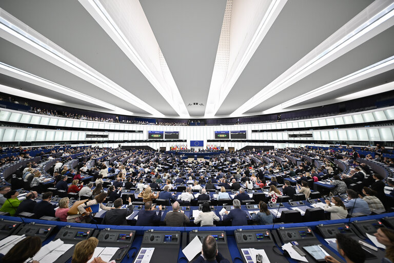 EP Plenary session - Voting session