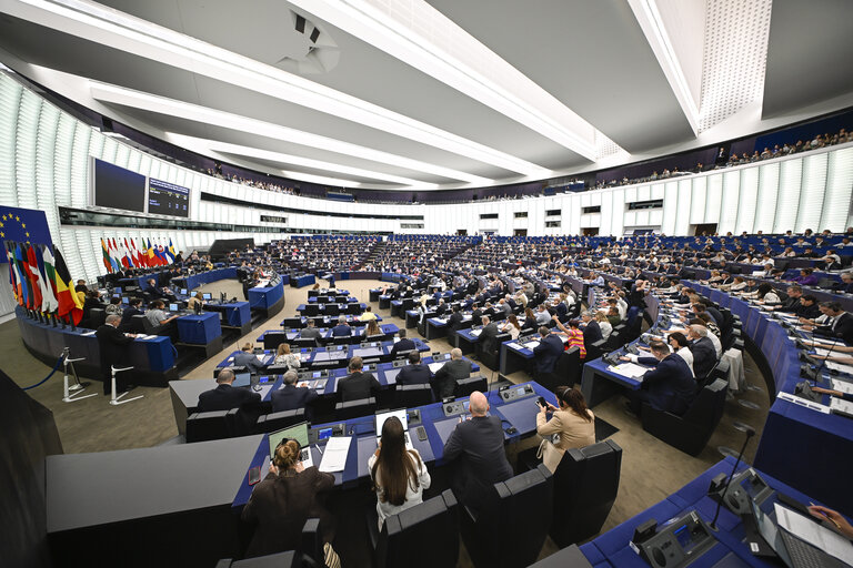 EP Plenary session - Voting session