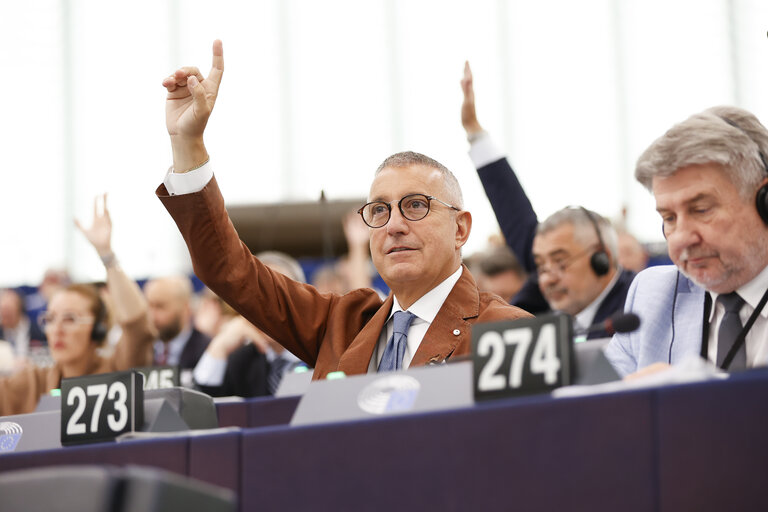 EP Plenary session - Voting session