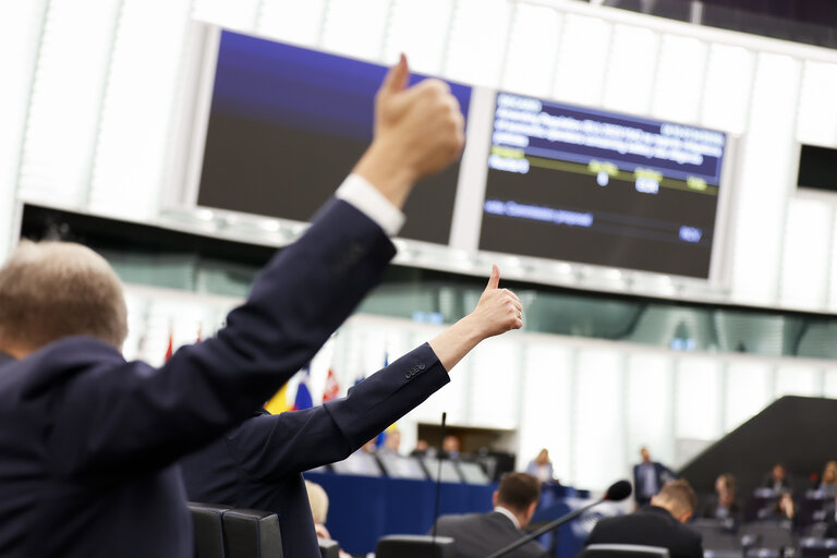 EP Plenary session - Voting session
