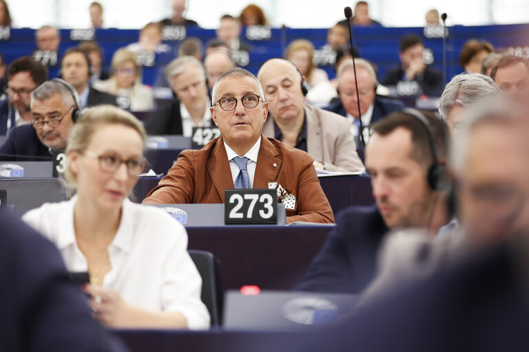 EP Plenary session - Voting session