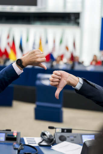 EP Plenary session - Voting session
