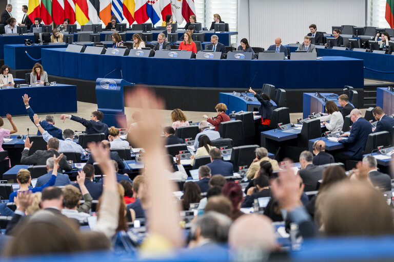 EP Plenary session - Voting session