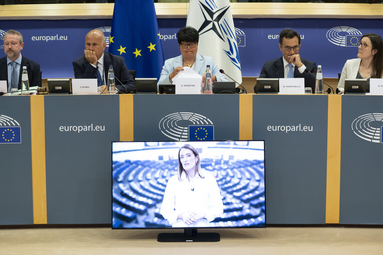 107th Rose-Roth Seminar - EU-NATO Cooperation : Essential Partnership and Democratic Resilience