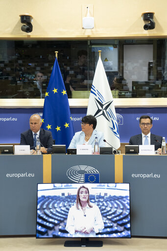 107th Rose-Roth Seminar - EU-NATO Cooperation : Essential Partnership and Democratic Resilience