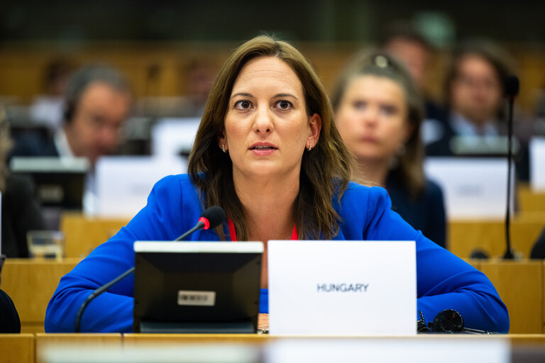 107th Rose-Roth Seminar - EU-NATO Cooperation : Essential Partnership and Democratic Resilience