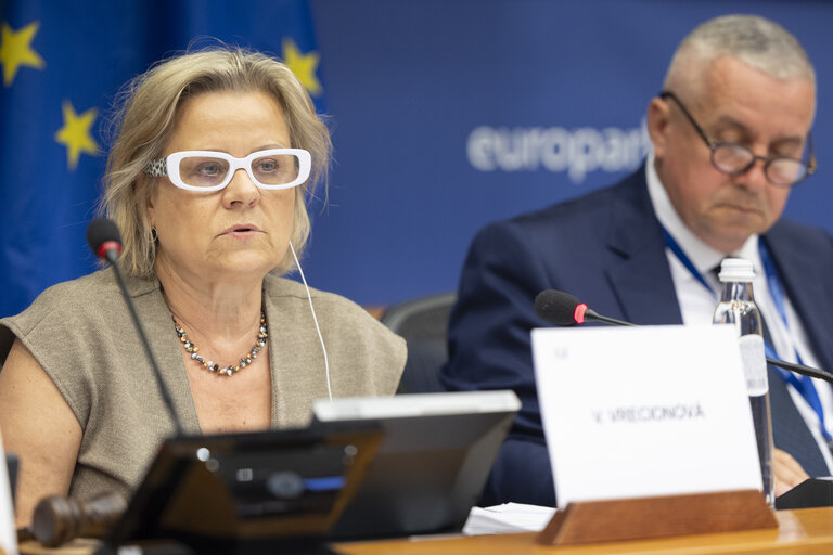 Φωτογραφία 27: AGRI - Public Hearing - Promotion of EU farm products - Challenges and perspectives
