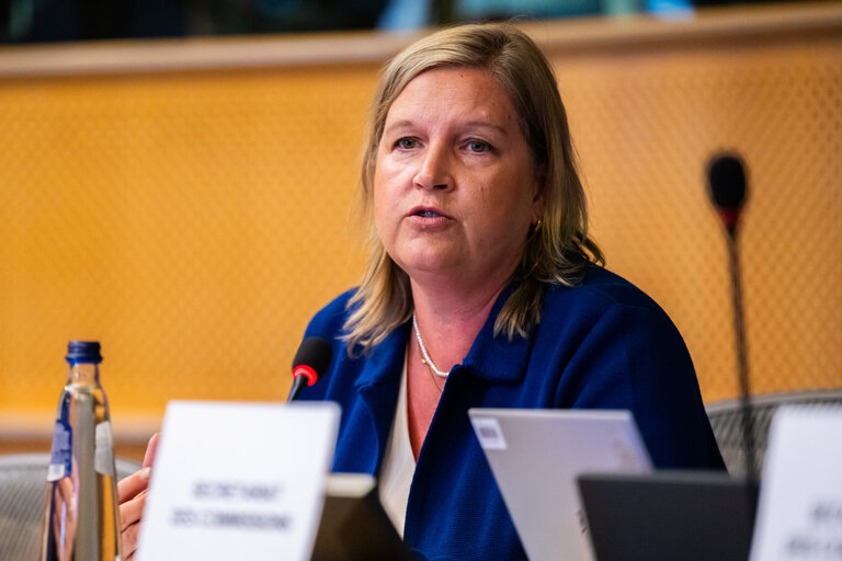 INTA - State of play of EU-US trade relations
