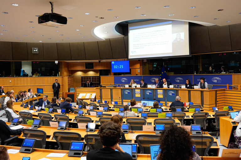 Photo 11: HOUS - Public Hearing on Addressing Vacancy and the Repurposing of Empty Housing in the EU