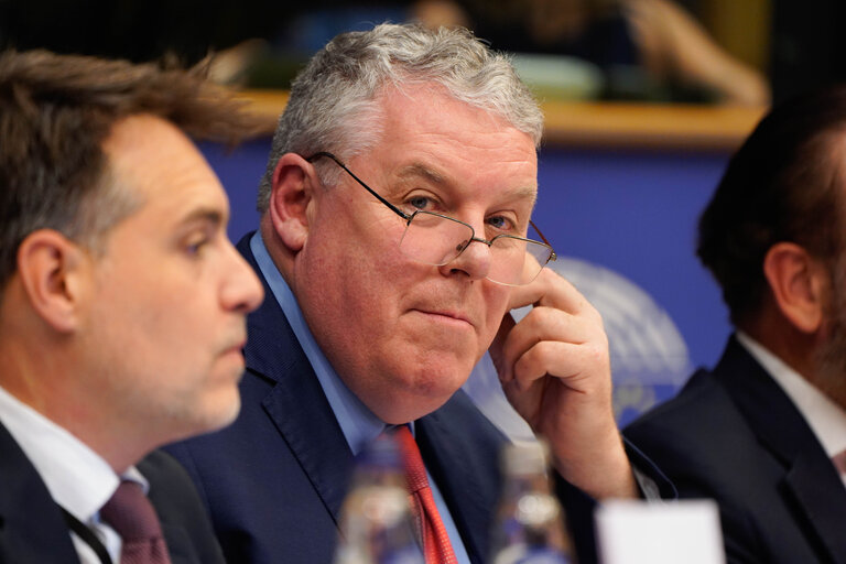 Photo 15: HOUS - Public Hearing on Addressing Vacancy and the Repurposing of Empty Housing in the EU