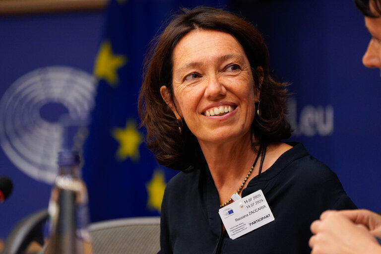 Photo 19: HOUS - Public Hearing on Addressing Vacancy and the Repurposing of Empty Housing in the EU