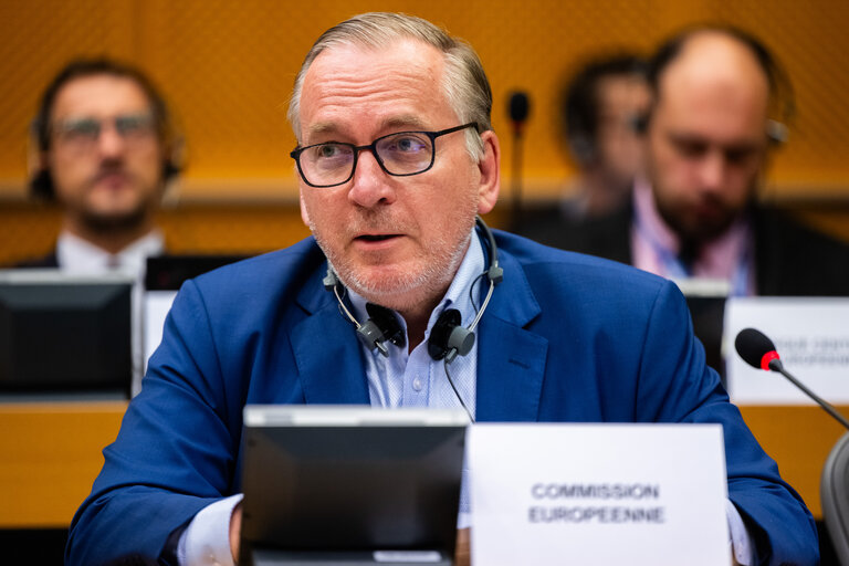 REGI - ECA Special report 16/2025 on EU funding to tackle forest fires - More preventive measures, but insufficient evidence of results and their long-term sustainability.
