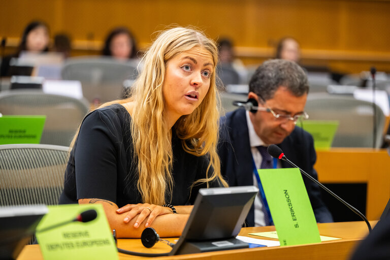 REGI - ECA Special report 16/2025 on EU funding to tackle forest fires - More preventive measures, but insufficient evidence of results and their long-term sustainability.