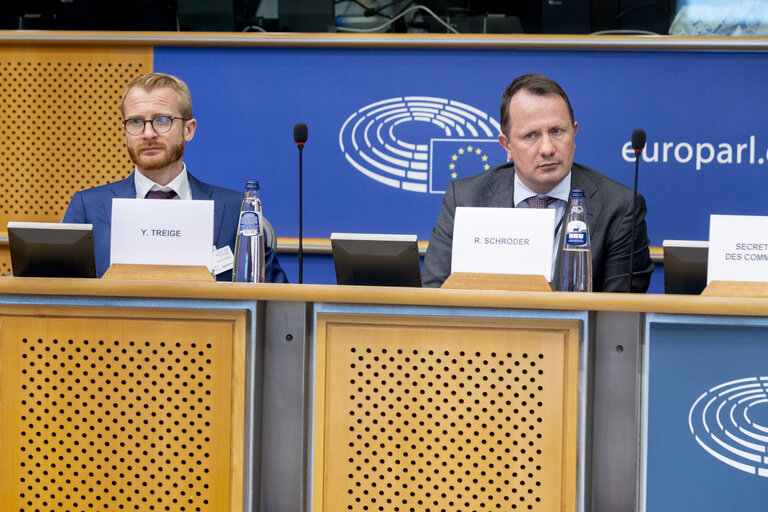 INTA - Public hearing ' Trade and economic security: navigating protectionism and geopolitical challenges in an unpredictable world order '