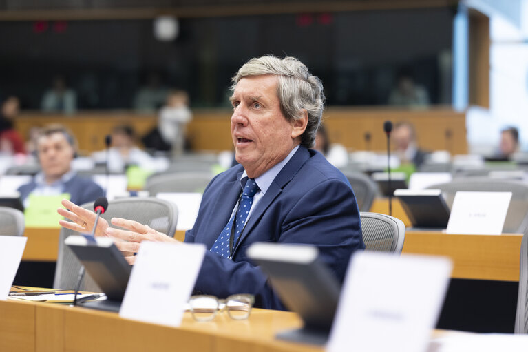 Photo 20: INTA - Public hearing ' Trade and economic security: navigating protectionism and geopolitical challenges in an unpredictable world order '