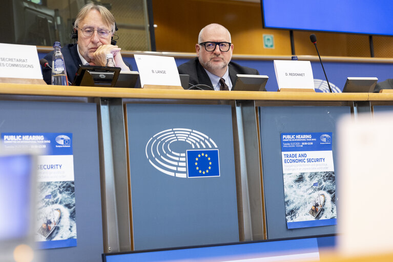 Photo 2: INTA - Public hearing ' Trade and economic security: navigating protectionism and geopolitical challenges in an unpredictable world order '