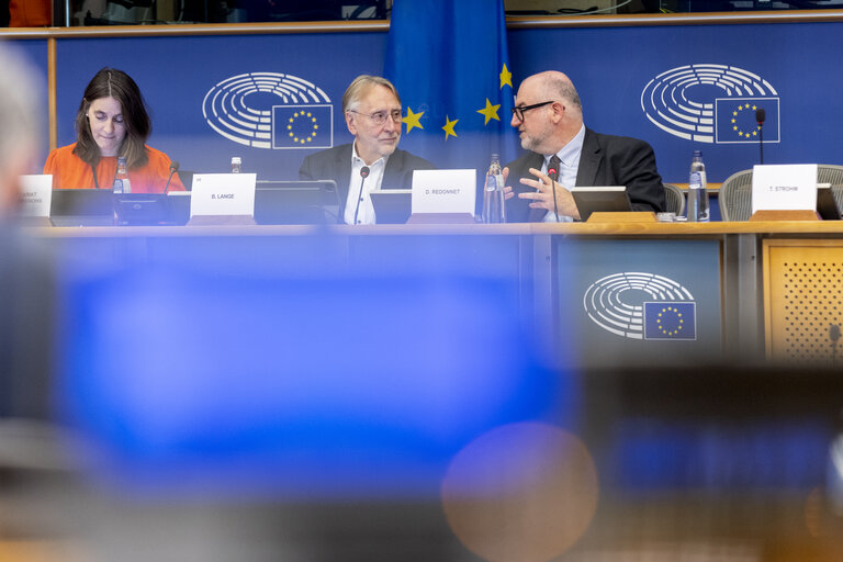 Photo 5: INTA - Public hearing ' Trade and economic security: navigating protectionism and geopolitical challenges in an unpredictable world order '