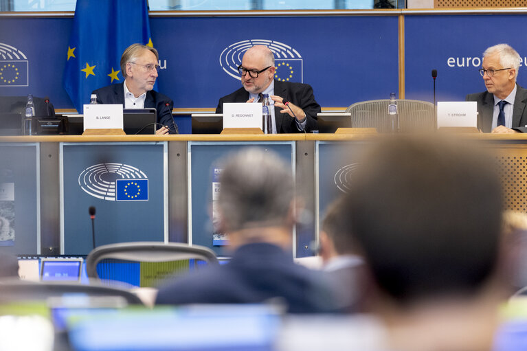 Photo 6: INTA - Public hearing ' Trade and economic security: navigating protectionism and geopolitical challenges in an unpredictable world order '