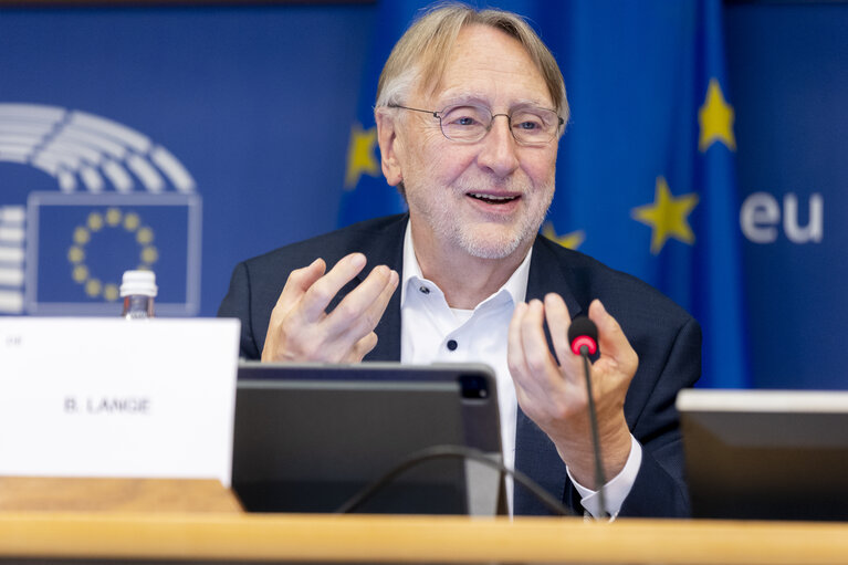 Photo 15: INTA - Public hearing ' Trade and economic security: navigating protectionism and geopolitical challenges in an unpredictable world order '
