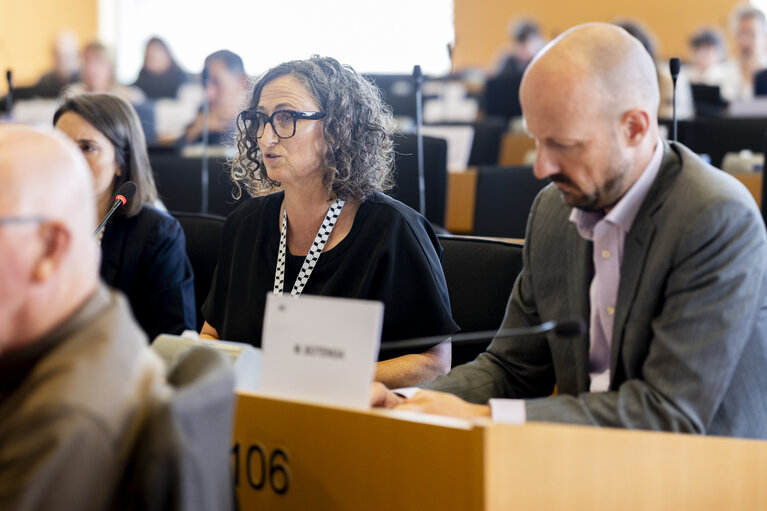 AFET - The implications of the decisions of the ICJ and ICC on the EU's role in supporting a peaceful solution for the Israeli/Palestinian conflict
