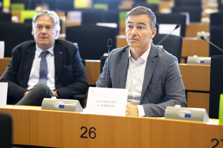 AFET - The implications of the decisions of the ICJ and ICC on the EU's role in supporting a peaceful solution for the Israeli/Palestinian conflict