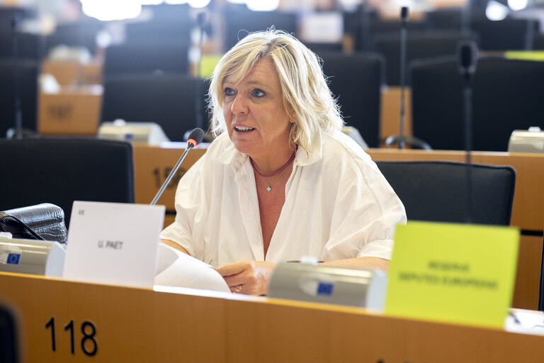 AFET - The implications of the decisions of the ICJ and ICC on the EU's role in supporting a peaceful solution for the Israeli/Palestinian conflict