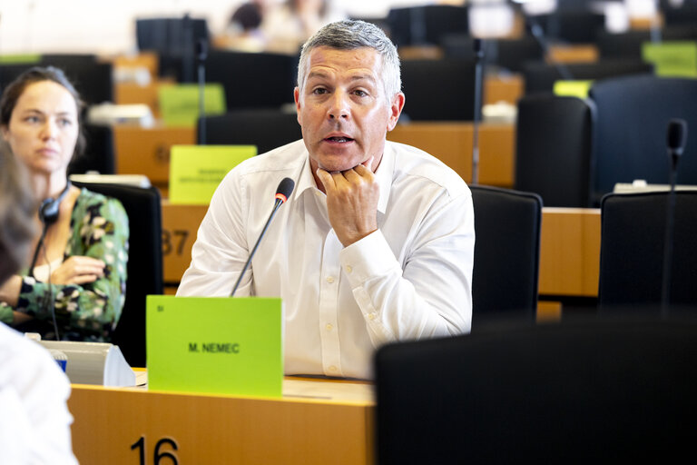 AFET - The implications of the decisions of the ICJ and ICC on the EU's role in supporting a peaceful solution for the Israeli/Palestinian conflict