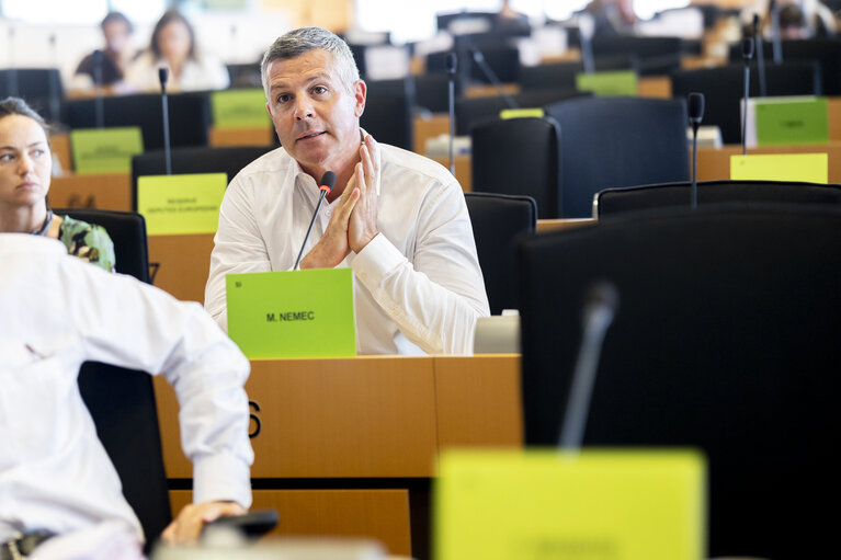 AFET - The implications of the decisions of the ICJ and ICC on the EU's role in supporting a peaceful solution for the Israeli/Palestinian conflict