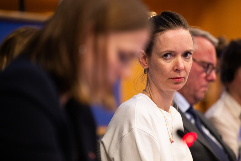 IMCO - Presentation of the priorities of the Danish Presidency of the Council