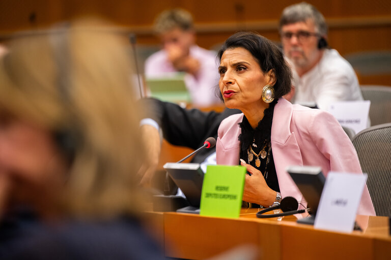 DEVE - Public Hearing on the Interlinkage between Migration and Development Cooperation