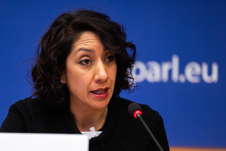 Suriet 15: DEVE - Public Hearing on the Interlinkage between Migration and Development Cooperation