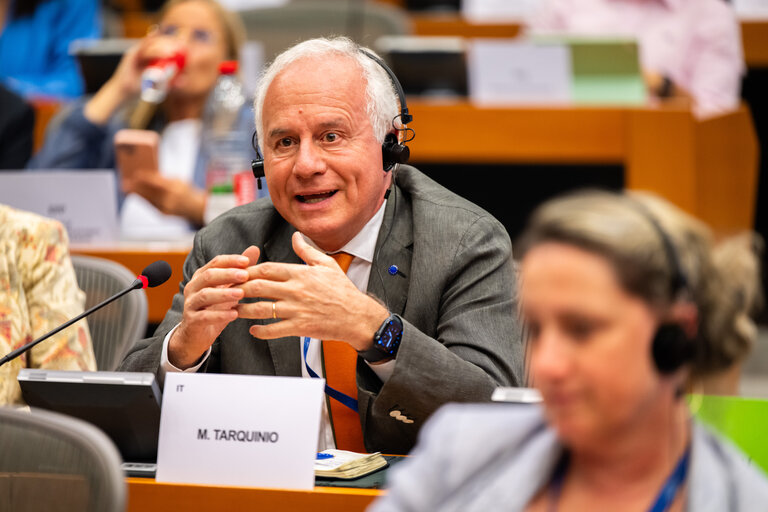 DEVE - Public Hearing on the Interlinkage between Migration and Development Cooperation