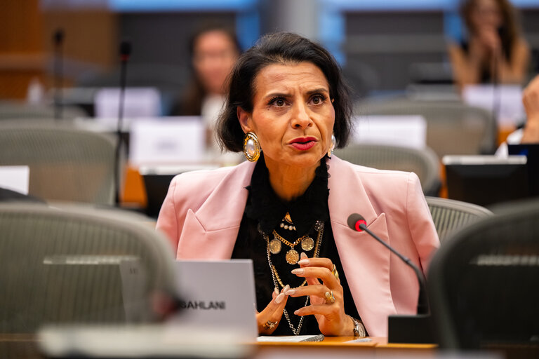 DEVE - Public Hearing on the Interlinkage between Migration and Development Cooperation