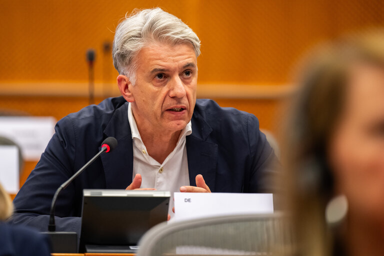 DEVE - Public Hearing on the Interlinkage between Migration and Development Cooperation