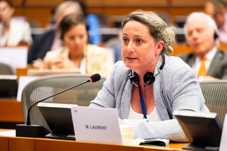Suriet 29: DEVE - Public Hearing on the Interlinkage between Migration and Development Cooperation