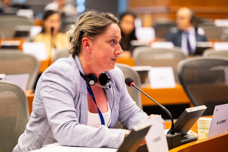 Suriet 28: DEVE - Public Hearing on the Interlinkage between Migration and Development Cooperation