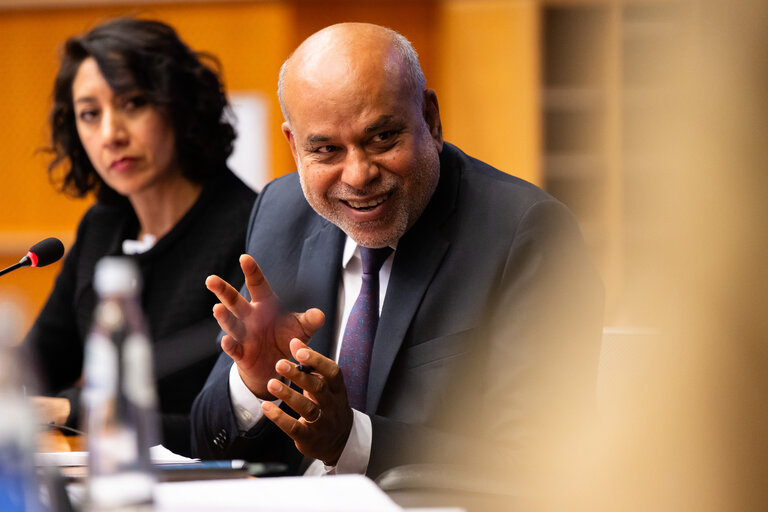 Suriet 16: DEVE - Public Hearing on the Interlinkage between Migration and Development Cooperation