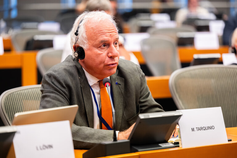 DEVE - Public Hearing on the Interlinkage between Migration and Development Cooperation