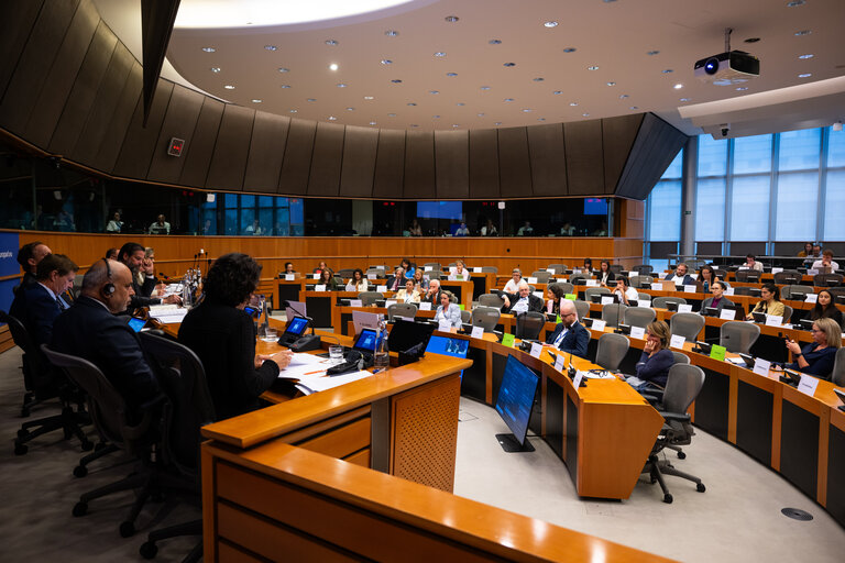 DEVE - Public Hearing on the Interlinkage between Migration and Development Cooperation